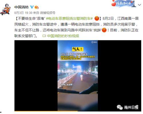 丽水设计师爆料视频曝光,揭秘设计界幕后真相