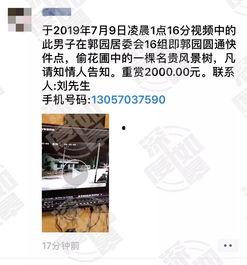 有网友爆料视频怎么办,事件真相究竟如何？